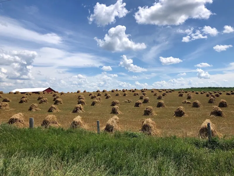 haystacks